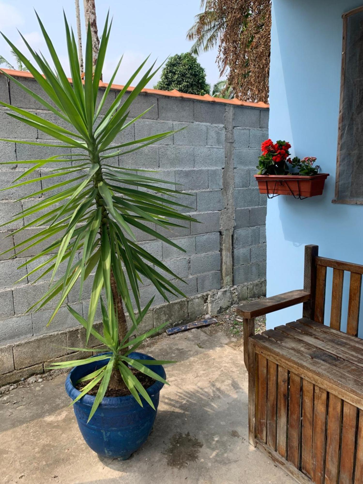 Villa Casa Litoral Sul De Sao Paulo, Peruibe Itariri Esterno foto